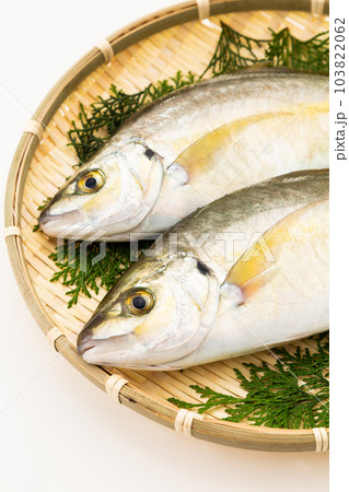 しまあじ しまあじ 103822062