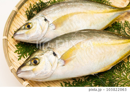 しまあじ 103822063