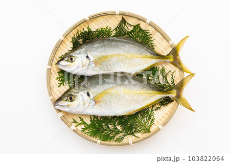 しまあじ 103822064