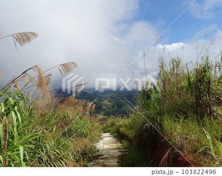 フィリピン・イフガオ州山頂からの眺望 103822496