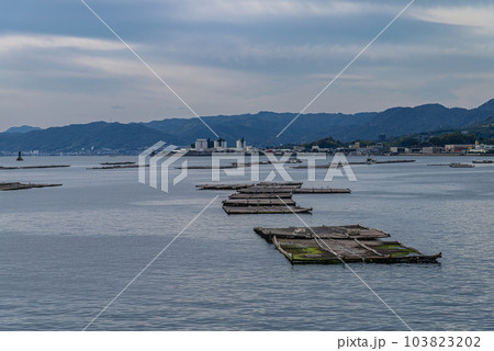 広島宮島口の牡蠣筏 103823202