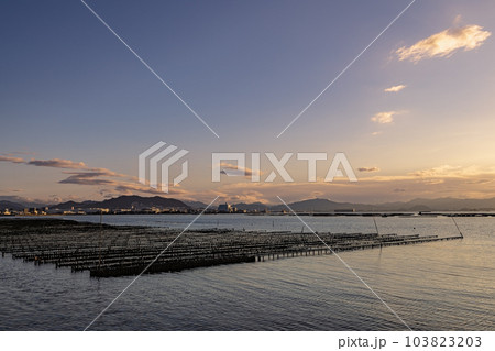 早朝の広島地御前の牡蠣棚に朝日が当たる 早朝の広島地御前の牡蠣棚に朝日が当たる 103823203
