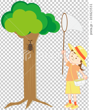 夏休みに大きな木の下で、アミを持ち虫かごをぶら下げて、カブトムシを捕まえようとしている女の子 103823531