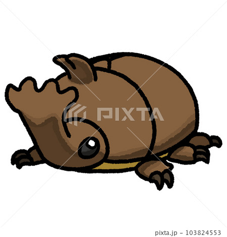 カブトムシ 103824553