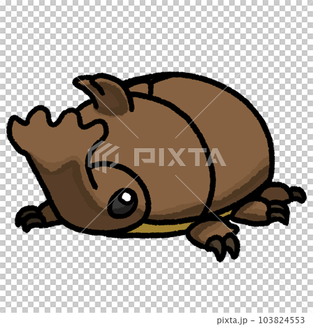 カブトムシ 103824553