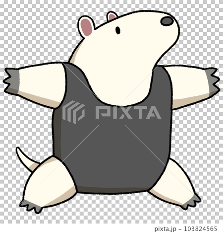 ミナミコアリクイ 103824565