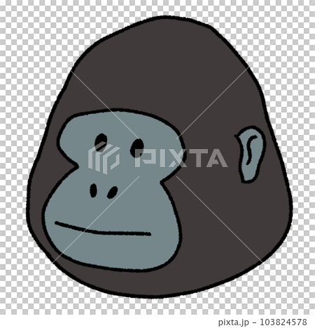 Gorilla 103824578