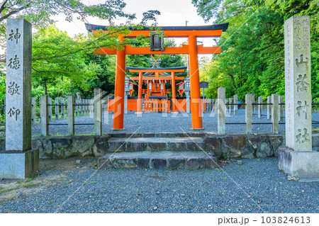 京都市左京区の山蔭神社（料理の神）　鳥居と本殿 103824613
