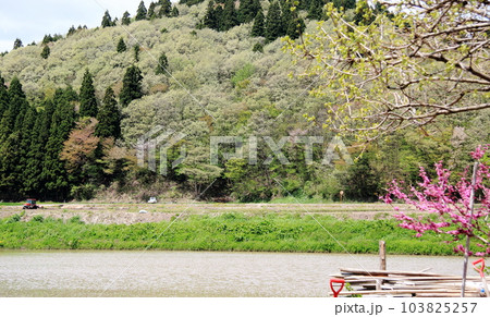 里山に吹く春風と水田 103825257
