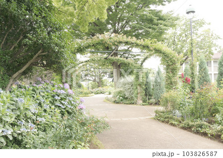 神奈川県横浜市中区山手の洋館の梅雨 神奈川県横浜市中区山手の洋館の梅雨 103826587