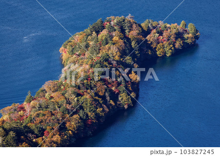 奥日光・半月山展望台から見る紅葉の八丁出島 103827245