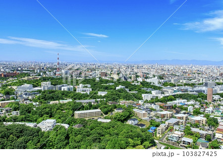 東山スカイタワーから眺める八事方面の景色 東山スカイタワーから眺める八事方面の景色 103827425
