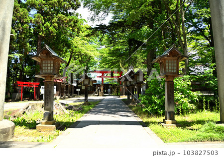 福島県会津若松市蚕養町　気持ち良い蚕養国神社参拝 103827503