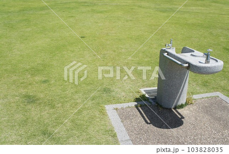 芝生と水場 芝生と水場 103828035