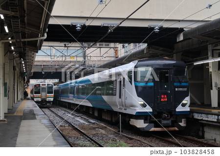 JR高崎駅　特急あかぎ（E257系）と普通列車（211系） 103828458