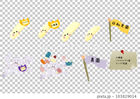 日和見菌　真菌のかわいいイラストセット 103829014