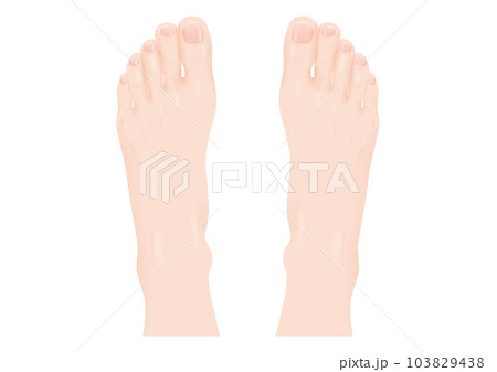 人体 パーツ 足の甲 リアル 指 爪 肌 両足 透過 png 背景透明 103829438
