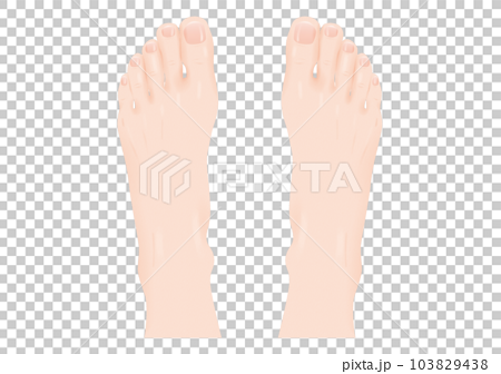 人体 パーツ 足の甲 リアル 指 爪 肌 両足 透過 png 背景透明 103829438