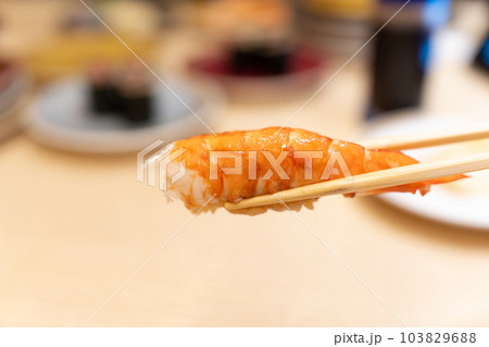 回転ずし　寿司 103829688