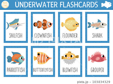 Vector flash cards set with fishes. English...のイラスト素材 [103834329] - PIXTA