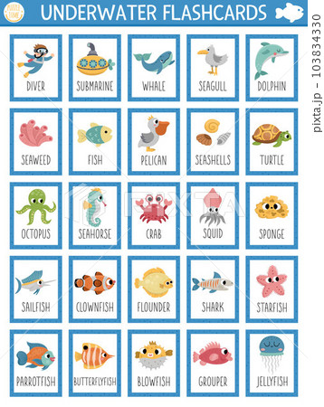 Vector big flash cards set with water animals, seaweeds, fishes, submarine, diver. English language game with cute underwater symbols for kids. Ocean life flashcards. Simple printable worksheet 103834330