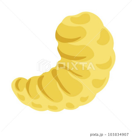 Grub bee larvae, biology basics of honeybee vector 103834907