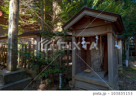 熊本 幣立神社 天神木の首っ玉 熊本 幣立神社 天神木の首っ玉 103835153