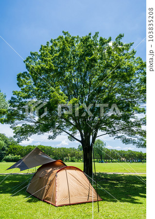 「埼玉県」秋ヶ瀬公園でデイキャンプ 103835208