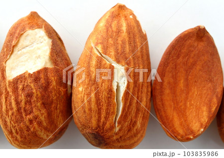 訳ありアーモンド 103835986