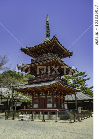 加古川　鶴林寺　三重塔　兵庫県加古川市 103836037