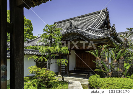 加古川　鶴林寺　浄心院　兵庫県加古川市 103836170