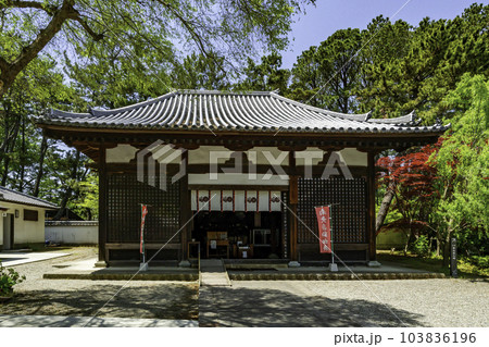 加古川　鶴林寺　新薬師堂　兵庫県加古川市 103836196