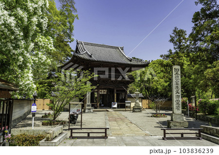 加古川 鶴林寺 仁王門 兵庫県加古川市 加古川 鶴林寺 仁王門 兵庫県加古川市 103836239