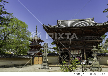 加古川　鶴林寺　仁王門　兵庫県加古川市 103836243