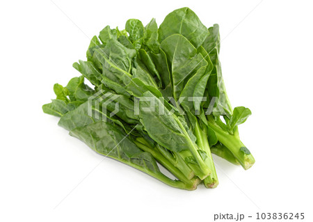 つるむらさき 103836245