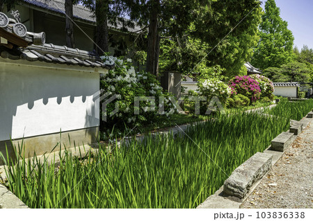 加古川　鶴林寺　宝生院　兵庫県加古川市 103836338