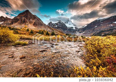 Mount Assiniboine over golden wilderness and stream flowing in provincial park Mount Assiniboine over golden wilderness and stream flowing in provincial park 103836842