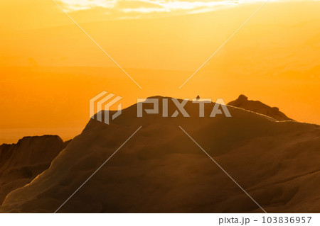 Bird perched on iceberg with orange sunset sky Bird perched on iceberg with orange sunset sky 103836957