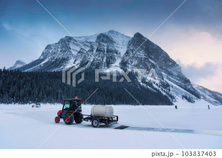 Tractor plowing snow on frozen lake preparing for natural ice rink in Lake Louise in the morning at Banff national park 103837403