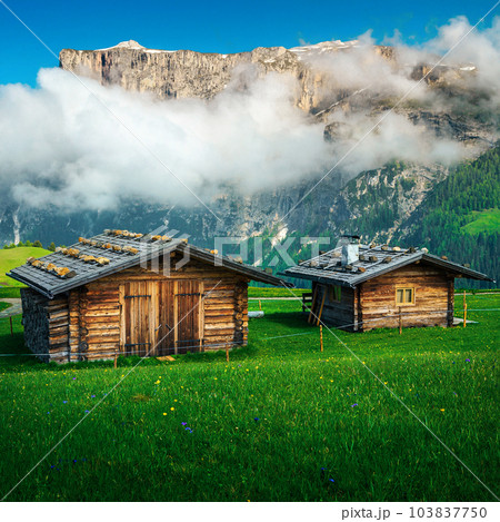 Wooden huts on the flowery slope in Dolomites, Italy Wooden huts on the flowery slope in Dolomites, Italy 103837750