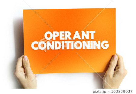 Operant Conditioning is a method of learning that uses rewards and punishment to modify behavior, text concept on card 103839037