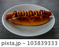 マスタードとケチャップのスタンダードホットドッグ（アップ） 103839333