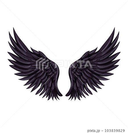 Hand drawn two black wing with feathers isolated on white background. Hand drawn design element for tattoo, label, branding. Vintage vector illustration. Black wings vector. Devil Wings Hand drawn two black wing with feathers isolated on white background. Hand drawn design element for tattoo, label, branding. Vintage vector illustration. Black wings vector. Devil Wings 103839829