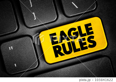 Eagle Rules text button on keyboard, concept background 103841622