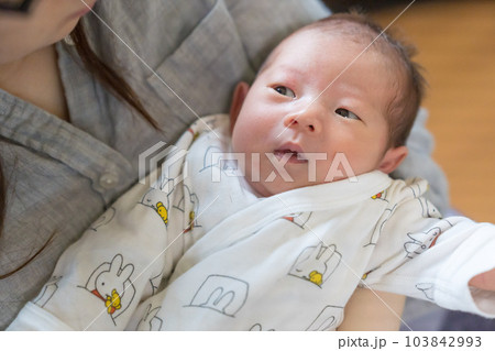 母親に抱かれる乳幼児 母親に抱かれる乳幼児 103842993