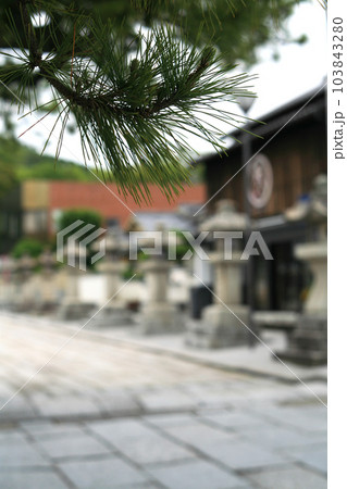 天満宮の参道 103843280