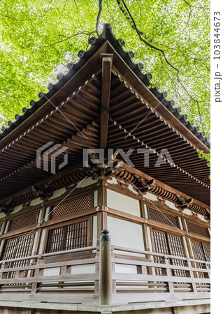 東京都日野市 高幡不動尊 金剛寺 東京都日野市 高幡不動尊 金剛寺 103844673