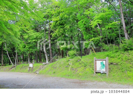 栃木県県民の森キャンプ場／栃木県矢板市 103844884
