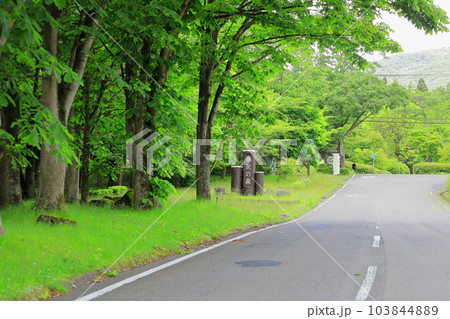 栃木県県民の森/栃木県矢板市 栃木県県民の森/栃木県矢板市 103844889