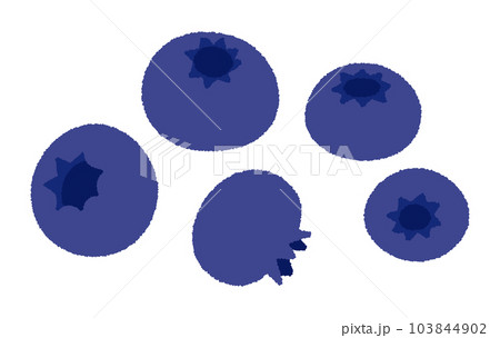 ブルーベリーの手書きベクターイラスト 103844902